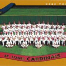 St. Louis Cardinals 2002 Topps #667 Baseball Team Card St. Louis Cardinals 2002 Topps #667 Baseball Team Card
