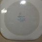 Amana browning skillet by Corning microwave bake dish with lid P-10-C-1 Vintage