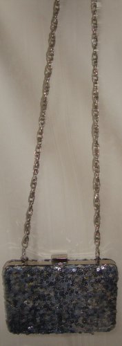 White House Black Market Sequined Clutch Purse Sling Box Bag Gorgeous