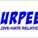 2 Pack of Custom Burpees XFit Vinyl Decals / Stickers