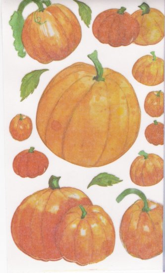 Maxi Pumpkin Patch