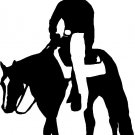 Female Pleasure Rider, Trail Horse Sticker,Decal,Graphics