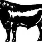 Black Angus Steer/Cow Sticker,Decal,Graphic