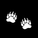 Bear Paws  Sticker,Decal,Graphics