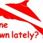 Dolphin Gone Down Lately? Scuba Dive Flag Sticker Decal