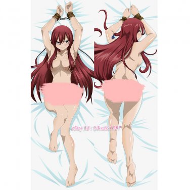 erza dakimakura