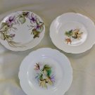 Set of 3 Antique 1888-1896 Haviland & Co. Limoges Handpainted Plates