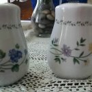 Porcelain Salt and Pepper Shakers with Floral Design