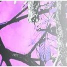 Arrow Wraps 1 Dozen 1"X7" Moonshine Muddy Girl Crested #9111 Arrows Vanes