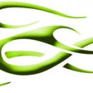 MacDaddy's Arrow Wraps 1 Dozen Elite Archery Green #2 1"X7" Arrows Vanes