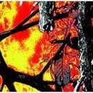 Arrow Wraps 1 Dozen 1"X7" Moonshine Wildfire Camo #1 Arrows Vanes