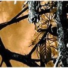 Arrow Wraps 1 Dozen 1"X7" Moonshine Outshine Camo #1 Arrows Vanes