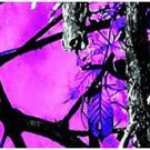 Arrow Wraps Muddy Girl #9093 1x7 1-Dozen  Arrows Feathers Vanes