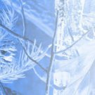 Arrow Wraps 1 Dozen Elite Archery Camo Fade Blue #TE9 1"X7" Arrows Vanes