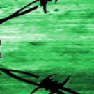 Arrow Wraps ELITE #2013-3Green 1"X7" 1dz Carbon Arrows Vanes Bows Fletchings