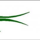 Arrow Wraps Flame # 545 Green 1-Dozen1x7 Vanes Feathers Fletchings