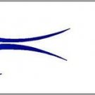 Arrow Wraps Flame # 359 Blue 1-Dozen 1x7 Vanes Feathers Fletchings