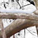 Arrow Wraps Crosstimbers Snow Drift 2 1-Dozen Vanes Feathers Fletchings