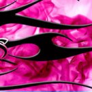 Arrow Wraps Ladies #1205 Pink 1-Dozen Vanes Fletchings Arrows Bows