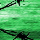 Arrow Wraps HOYT #2013-3Green 1"X7" 1dz Carbon Arrows Vanes Bows Fletchings