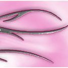 Arrow Wraps Ladies #1225 Pink 1-Dozen Vanes Fletchings Arrows Bows
