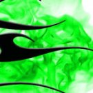 Arrow Wraps Ladies #1205 Green 1-Dozen Vanes Fletchings Arrows Bows
