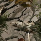 Arrow Wraps 1 Dozen (12) Legends Camo Skull #005  1"x 7" Vanes Feathers