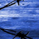 Arrow Wraps HOYT #2013-3Blue 1"X7" 1dz Carbon Arrows Vanes Bows Fletchings