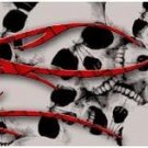Arrow Wraps 1 Dozen PSE Skull Flame #TO-13 1"X7" Arrows Vanes Feathers Bows