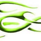 Arrow Wraps Animal #9066 1-Dozen 1x7  Vanes Feathers Fletchings