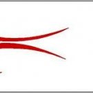 Arrow Wraps Flame # 540 Red 1-Dozen 1x7 Vanes Feathers Fletchings