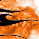 Arrow Wraps Ladies #1205 Orange 1-Dozen Vanes Fletchings Arrows Bows