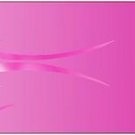 Arrow Wraps Flame # 347 Pink 1-Dozen 1x7 Vanes Feathers Fletchings