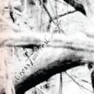 Arrow Wraps Crosstimbers Blizzard 2 Fade Red 1-Dozen Vanes Feathers