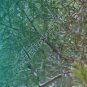 Arrow Wraps CrossTimbers Camo Cedar 1 Fade Teal 1-Dozen Vanes Feathers