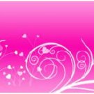 Arrow Wraps Ladies #1213 1-Dozen Vanes Fletchings Arrows Bows