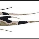 Arrow Wraps Animal #259 1-Dozen 1x7  Vanes Feathers Fletchings