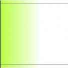 Arrow Wraps Animal #809 1-Dozen 1x7  Vanes Feathers Fletchings