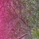 Arrow Wraps CrossTimbers Camo Cedar 1 Fade Pink 1-Dozen Vanes Feathers