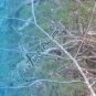 Arrow Wraps CrossTimbers Camo MoWinter 1 Fade Blue 1-Dozen Vanes Feathers