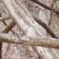 Arrow Wraps CrossTimbers Camo TC Fall View 1 12+2 FREE Vanes Feathers