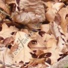 Arrow Wraps CrossTimbers Camo TC Forest Floor 1 12+2 FREE Vanes Feathers