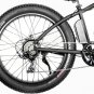 1000W Electric Fat Snow Tire Mountain Bike Bicycle EBike 17AH Samsung BAFANG LCD