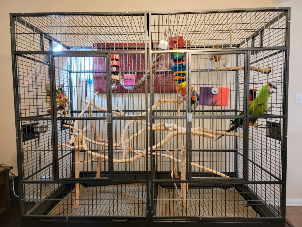 View of MadCheetah.com - Lot 74-13566452 - Automatic Parakeet Bird Bath for ...