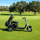2000W Electric 3 Wheel Fat Tire Scooter Trike Harley Chopper Style Golf Cart Mobility Scooter 38AH 2000W Electric 3 Wheel Fat Tire Scooter Trike Harley Chopper Style Golf Cart Mobility Scooter 38AH