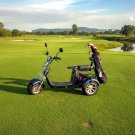 NEW 2000W Electric 3 Wheel Fat Tire Scooter Trike Harley Chopper Style Golf Cart Mobility Scooter NEW 2000W Electric 3 Wheel Fat Tire Scooter Trike Harley Chopper Style Golf Cart Mobility Scooter