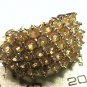 Solid 9k 375 yellow GOLD Ring 5 real Tanzanian champagne garnet cluster opera es