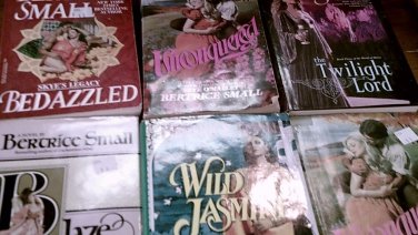 6 Bertrice Small Historical romance