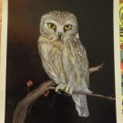 Aardvark Arts #307 NIGHT OWL lithograph 1978 Sally Miller