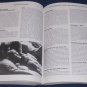 IMAGES IN THE DARK: Encyclopedia Of Gay & Lesbian Film & Video Paperback Murray